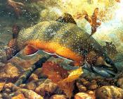 -Unknown - 马克·苏祖尼奥